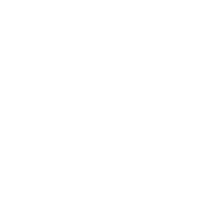 Search immediately icon