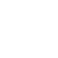 Search immediately icon