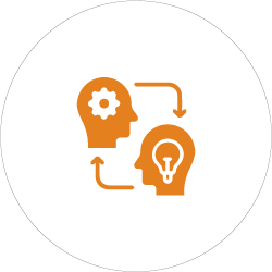 Professional Support and Dedicated Assistance