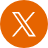 x-icon